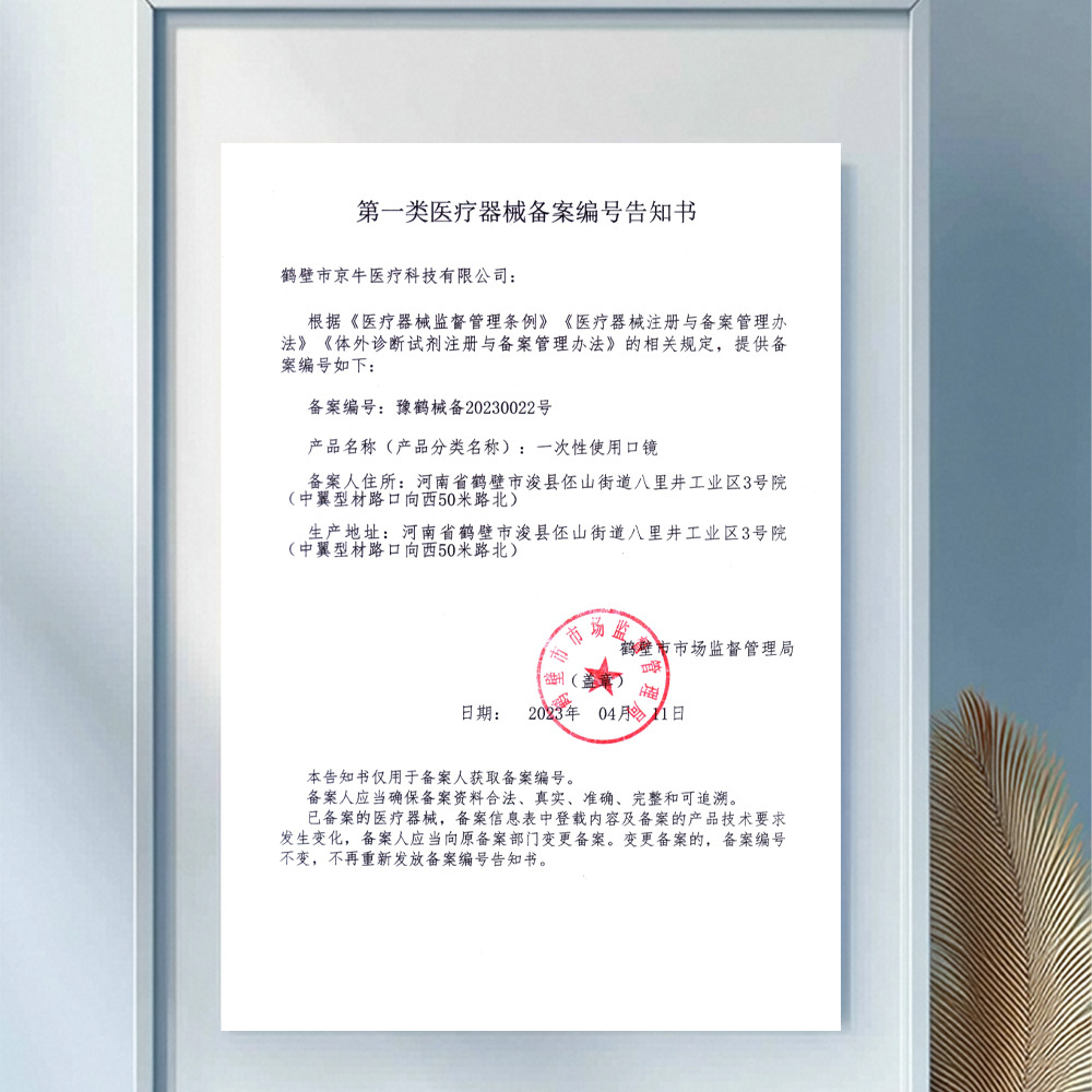 Dental Oral Materials Disposable Mouth Mirror Dental Medical Oral Mirror Dental Probe Dental Mirror Dental Inspection Tool