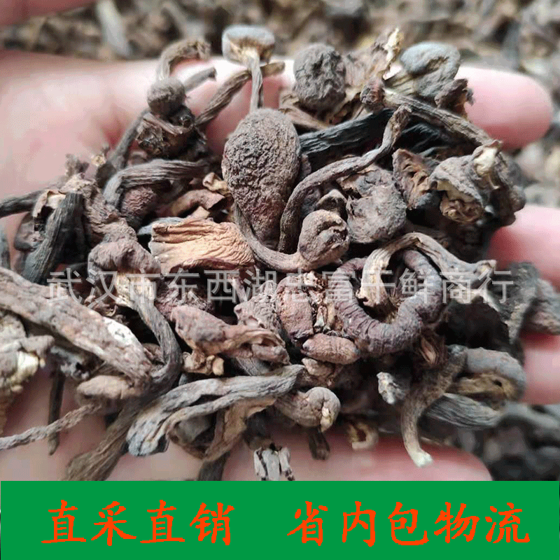 Northeast wild fungus hazel mushroom 500g chicken stewed mushroom dried goods wholesale hazel mushroom soup fungus bag