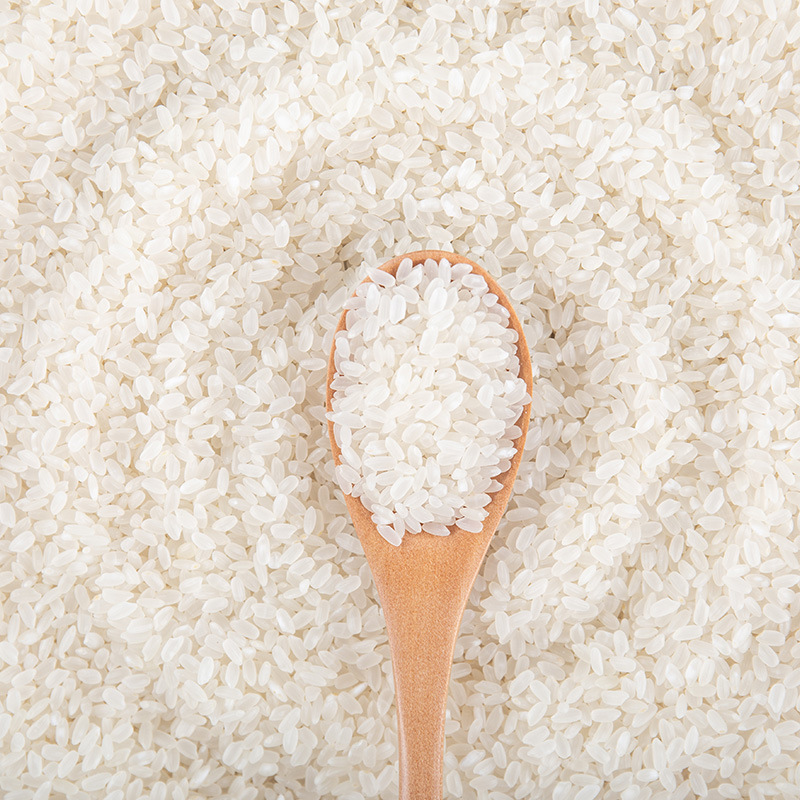 Northeast rice wholesale 500g new rice 1kg long grain fragrant japonica rice OEM generation source rice long grain rice