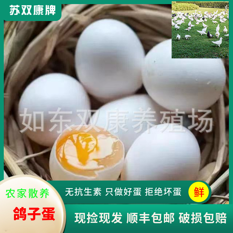 Оптовая продажа яиц голубей, цельные зерна, яйца летающих голубей, сейчас собраны и найдены, фермерские яйца свободного выгула, свежие
