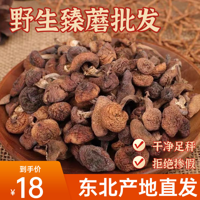Сушеные грибы лесного ореха с северо-востока из гор Чанбай, сушеные грибы для куриного рагу, чисто натуральные, аутентичное происхождение, прямая доставка, гарантированная подлинность