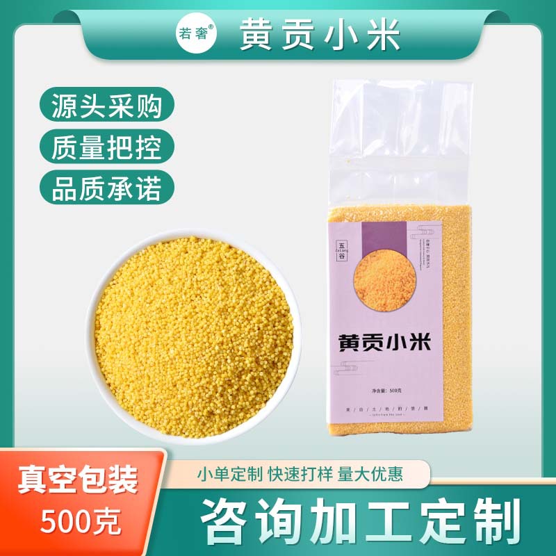 New Beige Tribute Millet Wholesale Vacuum Packaging Inner Mongolia Chifeng Qian Hanqi Huang Millet Grains Millet Porridge