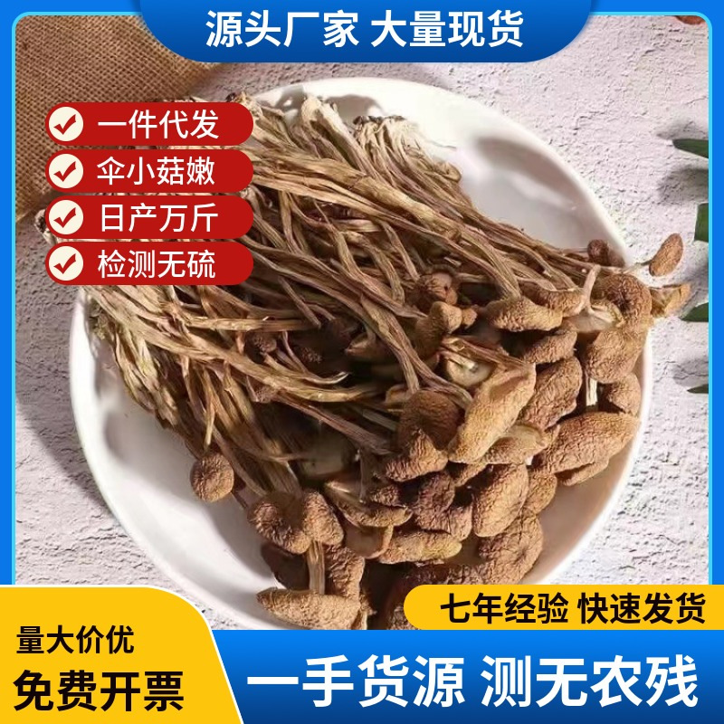 [Прямая поставка] Гутянь, неоткрытые чайные грибы, 500г, прямая продажа