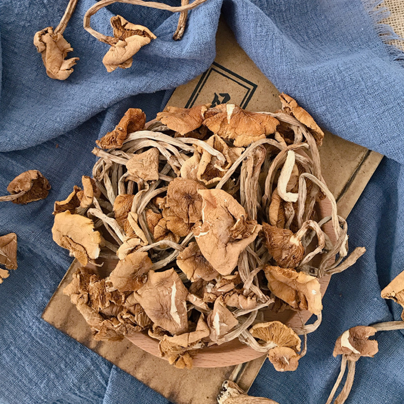 Guojuntang Tea Tree Mushroom Yunnan Dry Goods Wholesale Unopened Umbrella Soup Source Manufacturer Large Volume Price Excellent Spot Can Be Delivered
