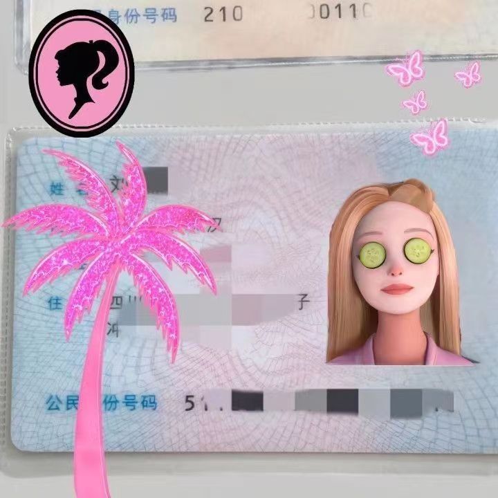 Little Red Book Explosive Cute Kuso ID Card Protective Cover Barbie Princess Funny ID Card Protective Cover Transparent Card Cover