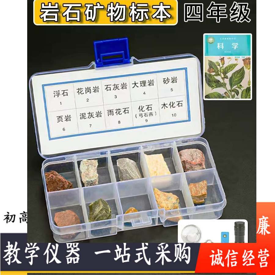 Fourth grade Science Volume 2 primary school student mineral rock specimen box student rock specimen 10 grid mineral