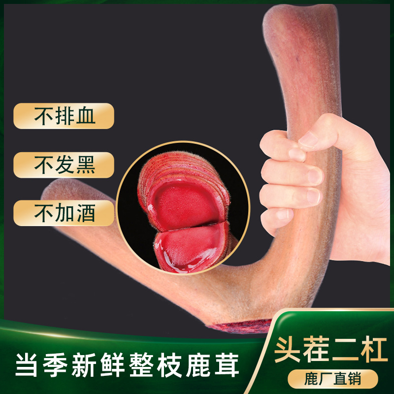 Свежий оленьий рог, сегмент оленьего рога из Цзилиня, целый оленьий рог для супа и вина, ломтики сегмента оленьего рога, оптовая продажа свежего оленьего рога из места происхождения