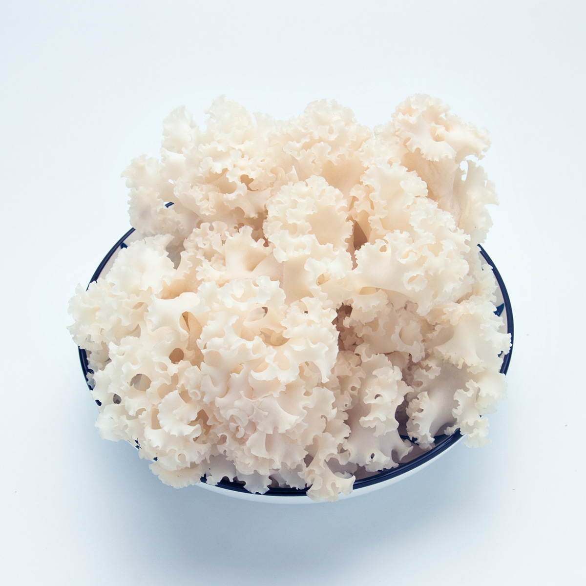 Fresh hydrangea in Gutian, Fujian