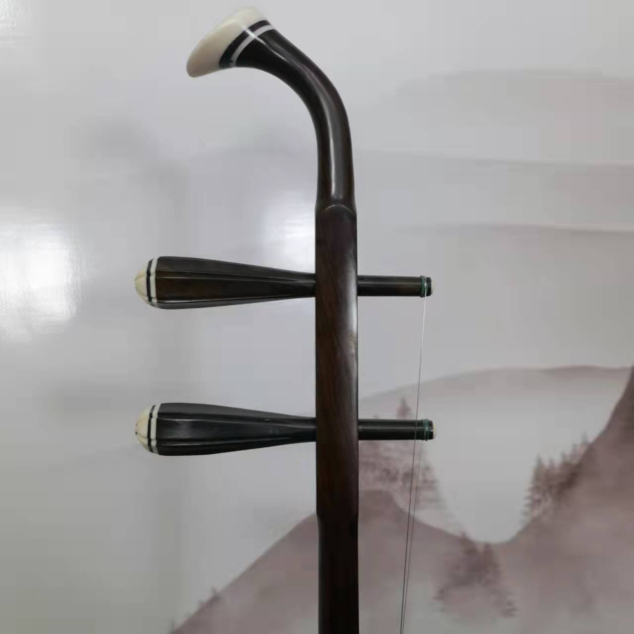 Color Wood Erhu Redwood Erhu Ebony Erhu Red Sandalwood Erhu