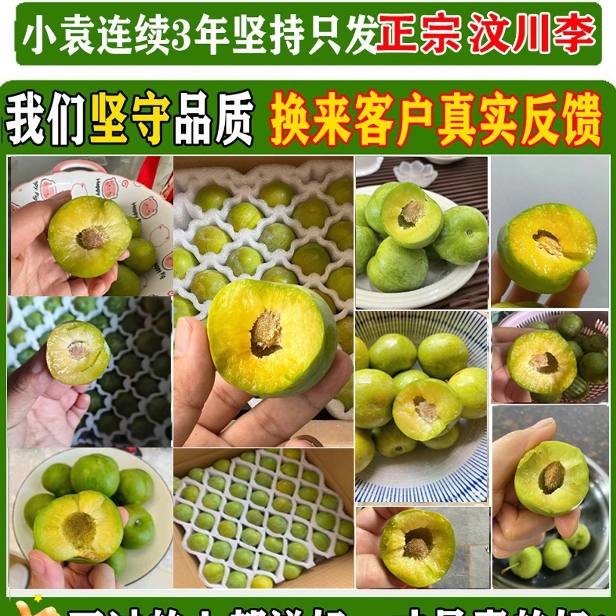 Fresh Fruit from Wenchuan, Sichuan: Crisp and Sweet Plums, Boneless Plums, Candied Plums, Suitable for Pregnant Women, 2.5kg Pieces, Free Shipping with Sf Express