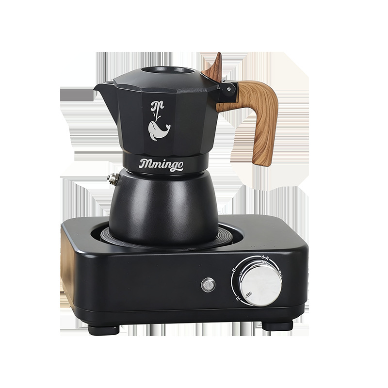 Dual-Valve Moka Pot Espresso Maker Portable Coffee Appliance for Outdoor Camping and Home Use Small Size