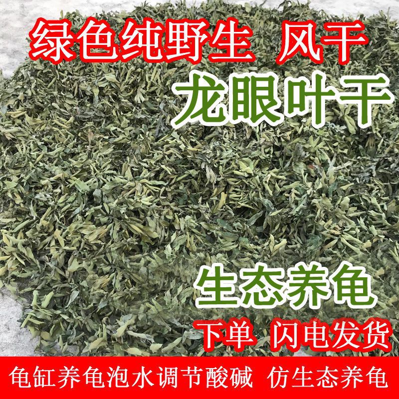 Wild Longan Leaves, Dried Turtle Leaves, Turtle Tank, Dried Longan Leaves, Ph Adjustment, Simulated Ecological Turtle Farming
