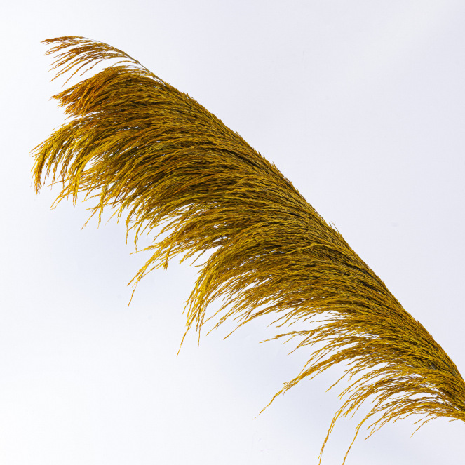 Yunnan factory straight hair reed iron reed big reed eternal flower wholesale wedding landscaping decoration ornaments essential