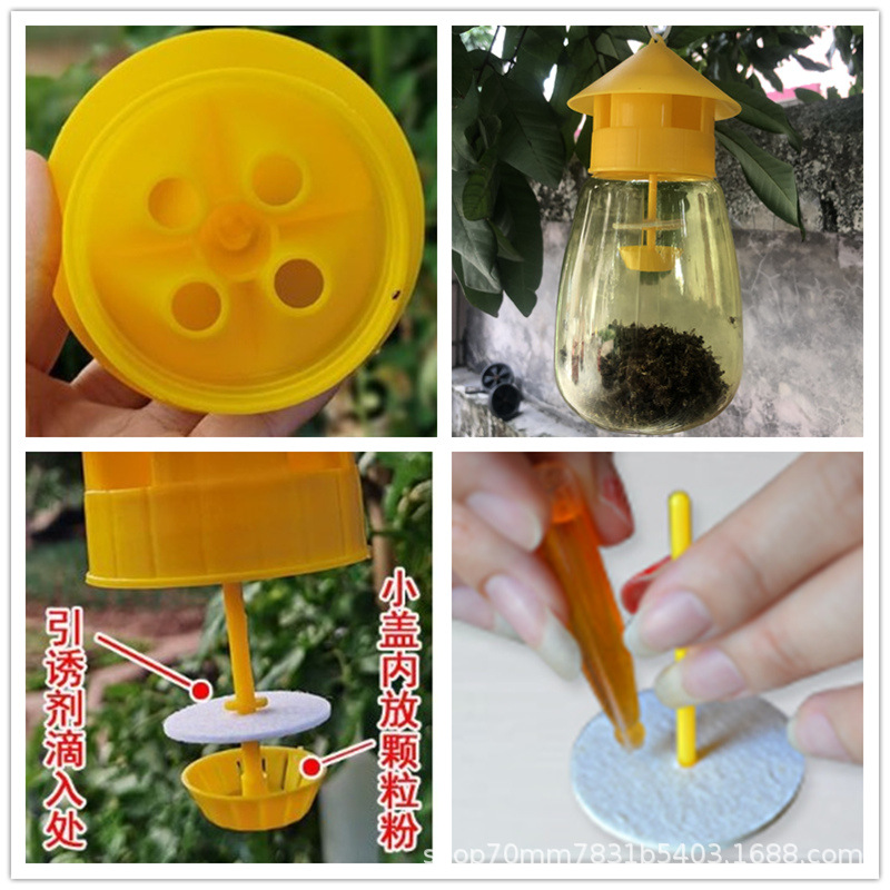 Fruit fly trap needle device melon fruit fly big fruit fly orange fruit fly citrus fruit melon orchard bee trap factory wholesale