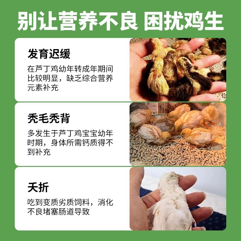 Rutin Chicken Special Feed for Egg Laying, Egg Laying, Food Mixed Vegetable Capsuless, Open Brooding Chicks, Ludin Chicken Food