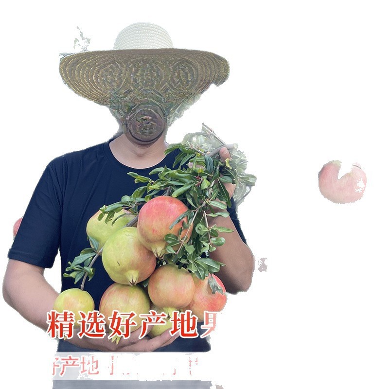 Tunisian Soft Seed Pomegranate Fruit Fresh Whole Box Seasonal Ruby ​​Pomegranate Gift Box Extra Large Free Shipping Flagship Store