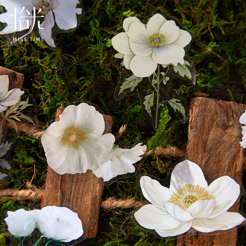 Must-Have Popular Item: Pet and Washi Paper Dual-Material Sticker Pack, High-Value Decorative Stickers, Direct from Source Factory, In-Stock Wholesale