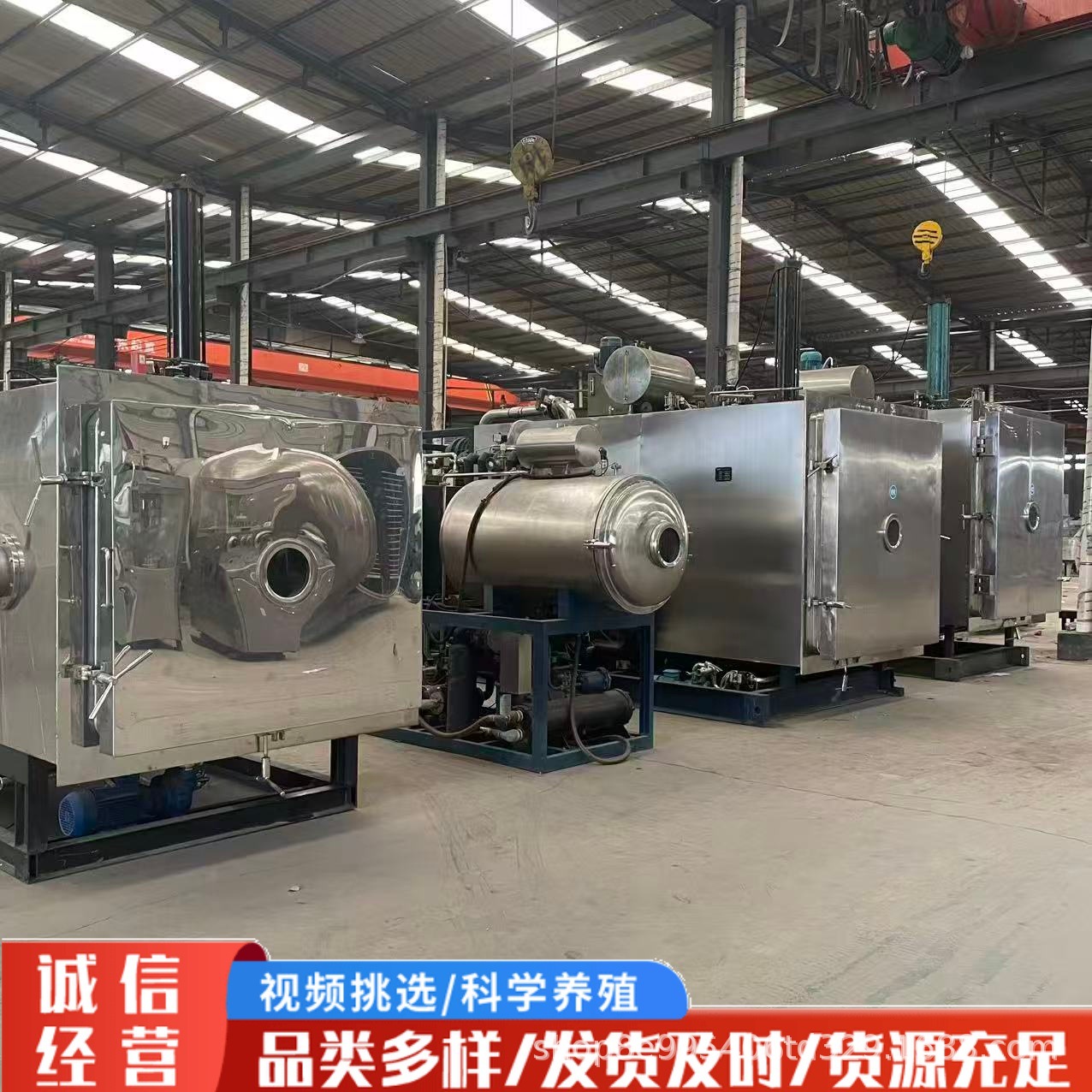 Вакуумные сушилки для заморозки от крупных брендов Также сушилки для заморозки, различные модели и хорошее состояние