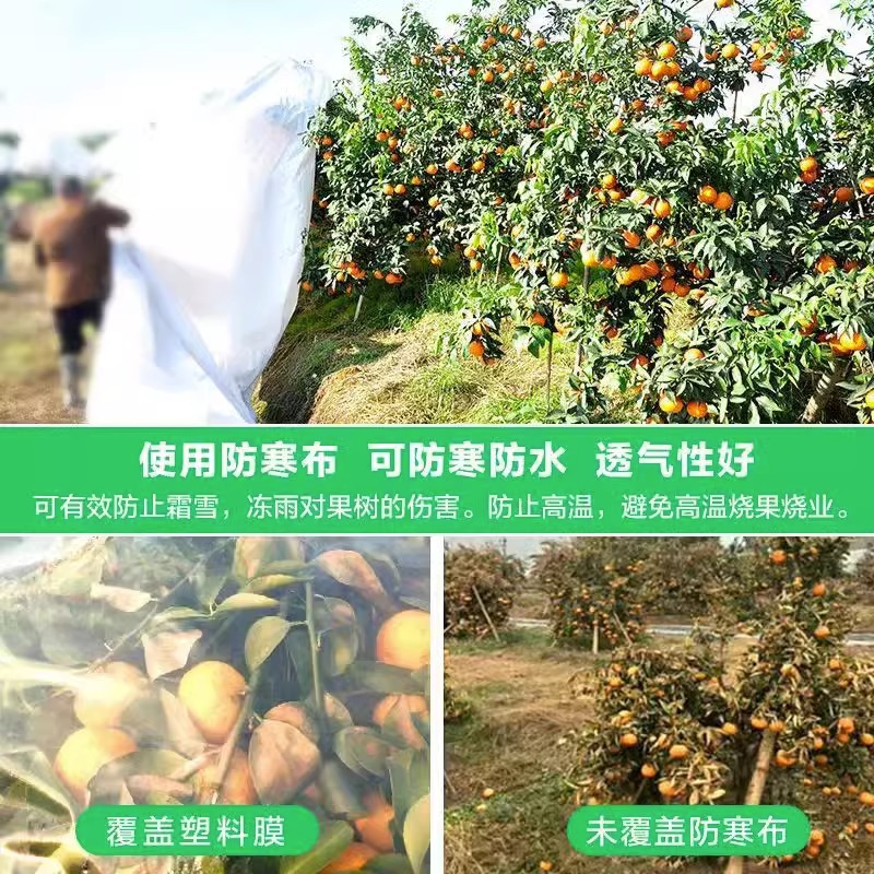 Manufacturers Produce Fruit Tree Cold-Proof Cloth, Citrus Insulation Cloth, Breathable Waterproof Non-Woven Composite Cold-Proof Cloth