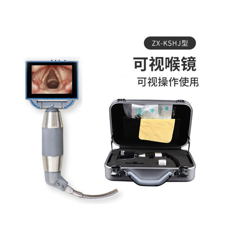 Visual Fiber Optic Laryngoscope Visibility Visual Fiber Optic Laryngoscope Visual Video Laryngoscope for Hospital-33
