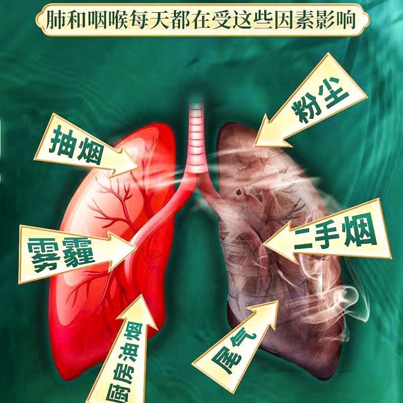 Gu Fang Fei Run San vertebral name pharmaceutical Xizang medicine Zhendian Fei Qing Run granule ancient method processing Chinese herbal medicine formula generation