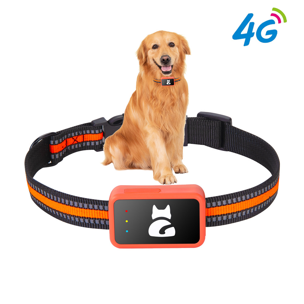 Популярный 4G полный сетевой GPS-локатор для собак и кошек, ошейник для животных, антиутеря и антиугон