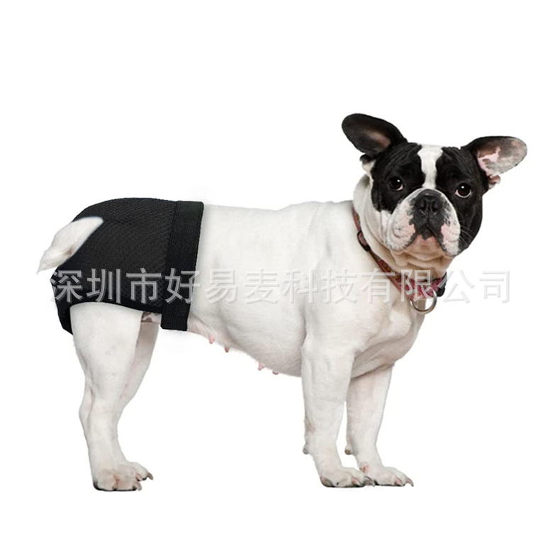 Pet dog physiological pants bitch menstrual pants aunt pants Teddy safety pants dog hygiene Diaper Dog anti-harassment pants