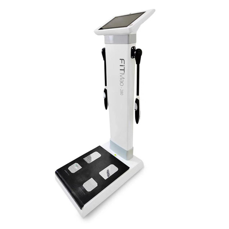 Beryl Cross-Border Wholesale English Version Professional Body Fat Scale Yoga Studio Gym Body Tester Body Tester