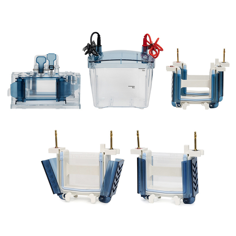 Tophe 2024 New Split Integrated Blue Light Horizontal Electrophoresis Instrument Transfer Tank Programmable Electrophoresis Instrument Power Supply