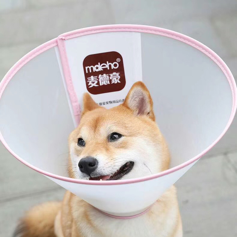Medhao Elizabeth Collar Pet Collar Anti-Biting Protective Dog and Cat Postoperative Collar Dog Pet Surgery Collar
