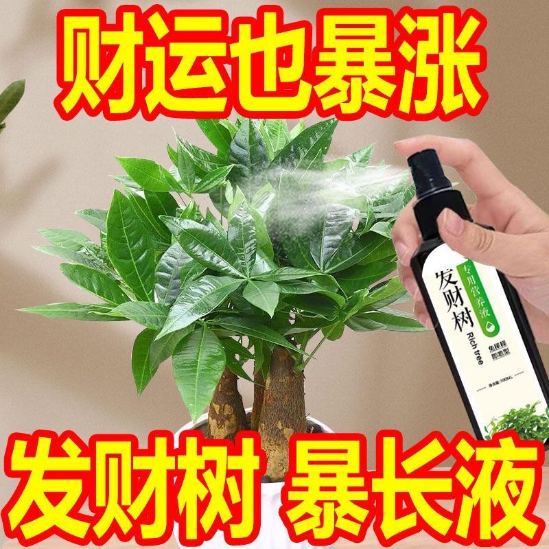 Special Fertilizer for Facai Tree Special Nutrient Solution Fertilizer Dilution Green Plant Indoor Potted Plant Household Universal Liquid