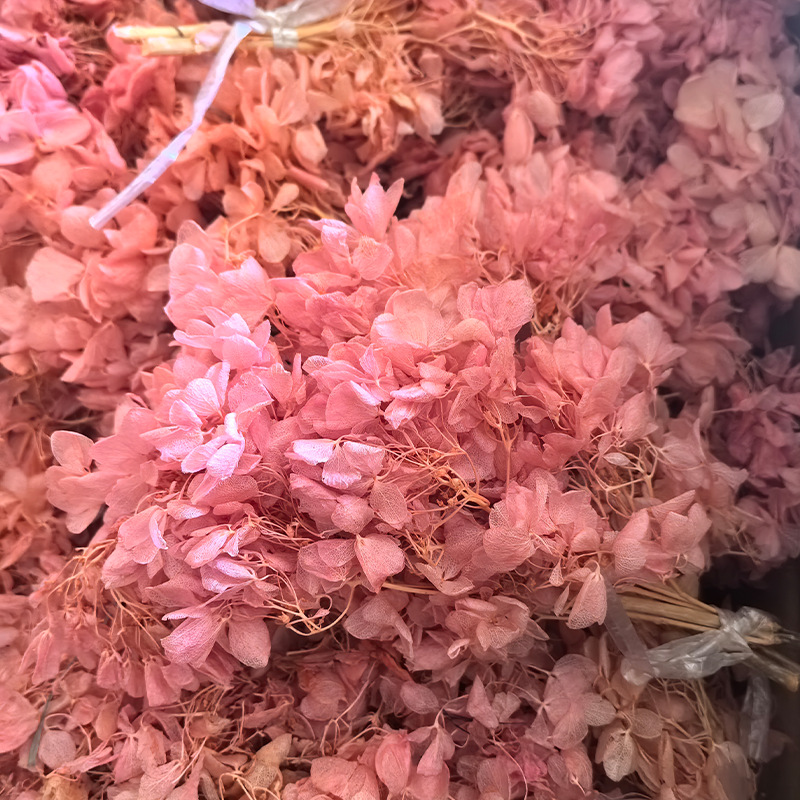 Preserved Flower Dye, Dried Flower, Artificial Flower Special Dye, Handicraft Cationic Dye, Color Powder, Plant Pigment