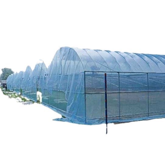 New Longevity Greenhouse Plastic Film Light Blue Drip-Free Film Black and White Film Po Film Greenhouse Transparent Thermal Insulation Rainproof Plastic Film