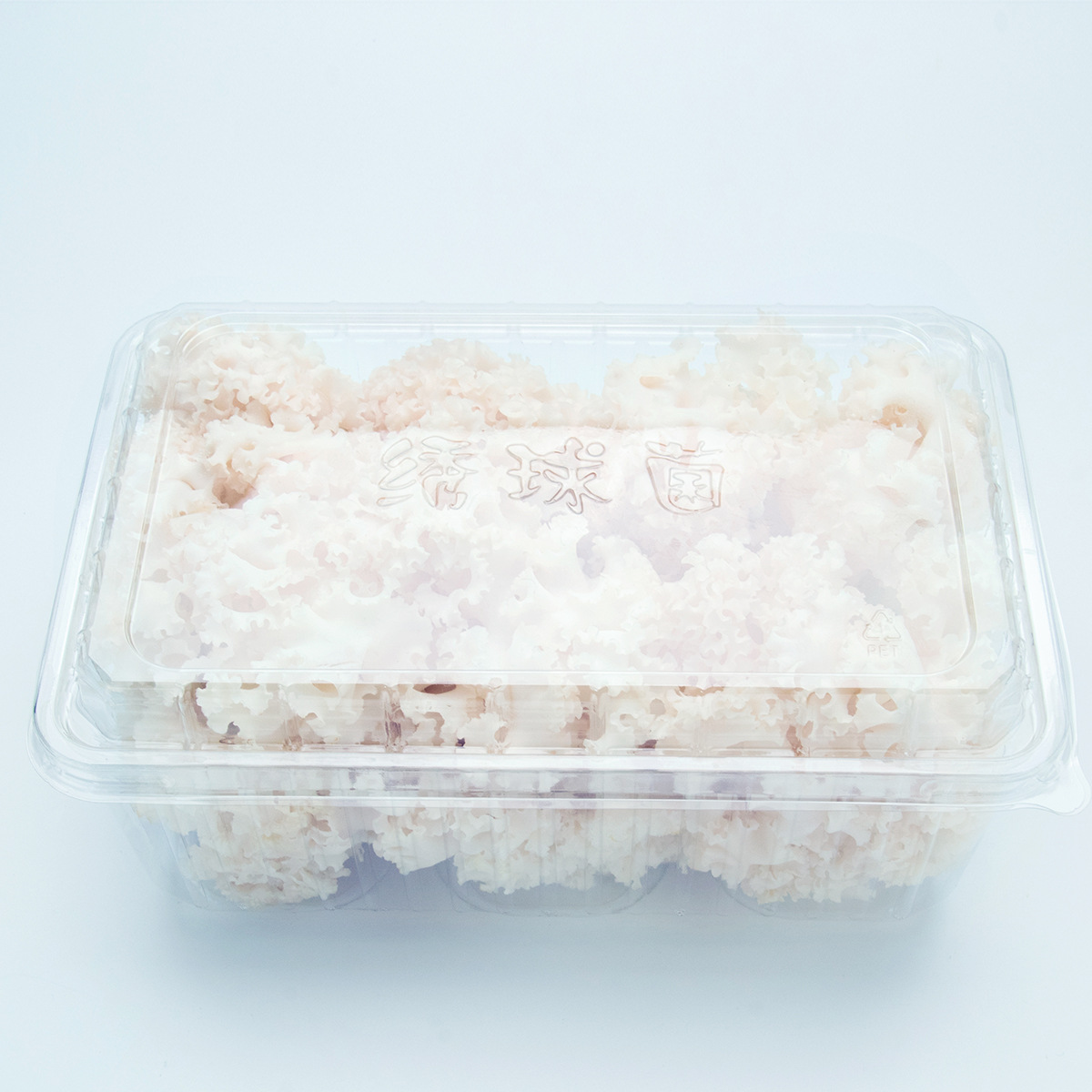 Fresh hydrangea in Gutian, Fujian