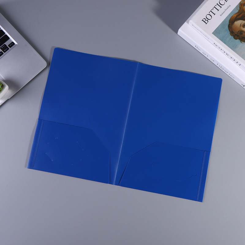 Матовая PP A4 папка с двумя карманами, индивидуальная папка для данных