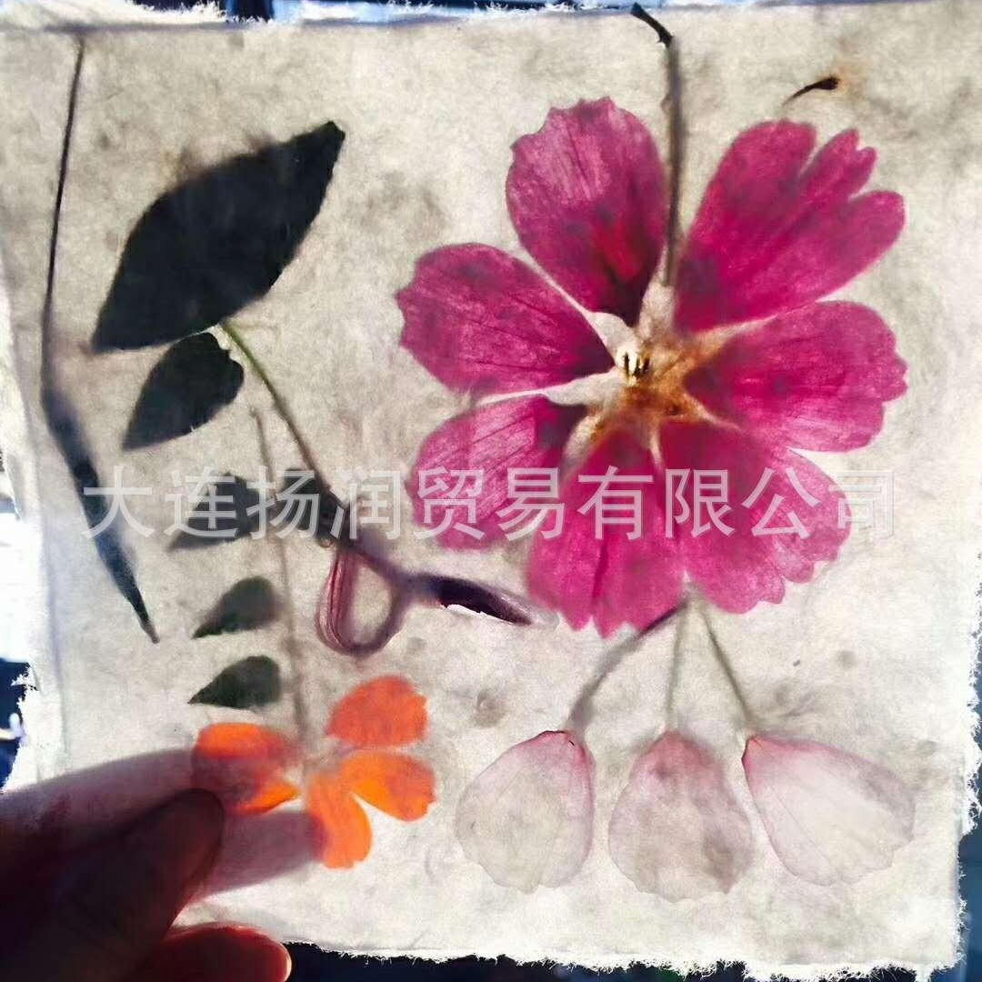 Children's manual class paper pulp painting native wood pulp dry pulp pulp sheet wood pulp paper making 10 × 10 single piece