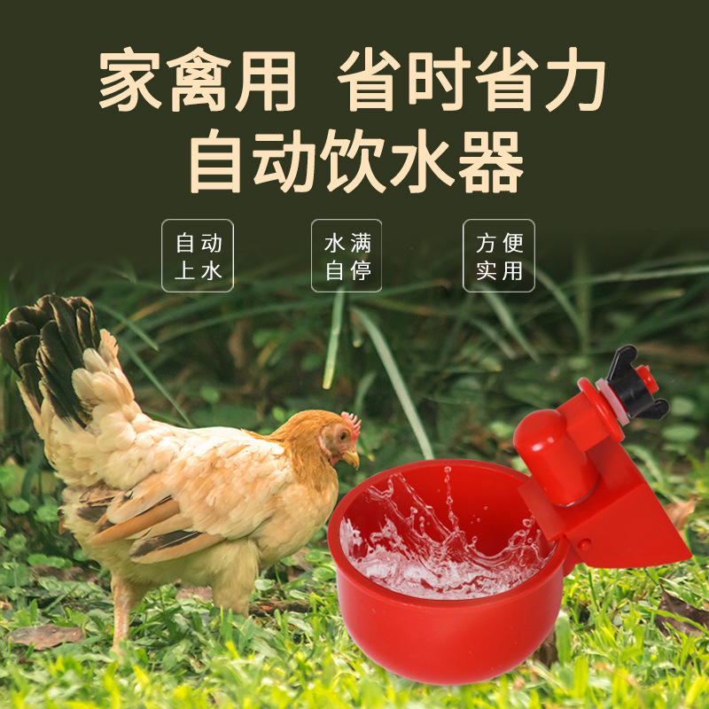 New Chicken feeding automatic drinker chicken duck goose automatic drinker breeding quail pigeon poultry automatic drinker