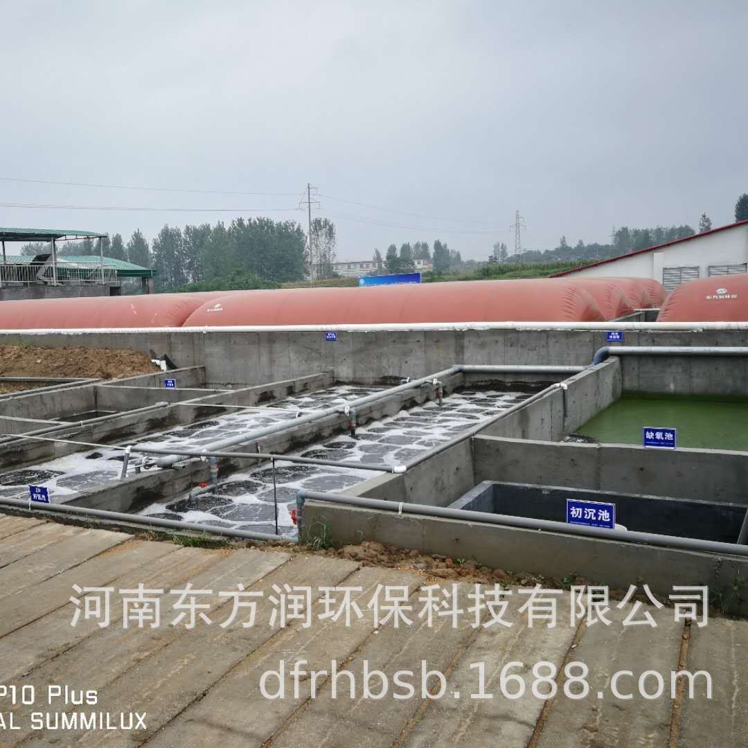 Biogas Engineering/Equipment