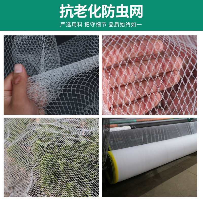Processing and Customization of Anti-Hail Net, Anti-Bird Net, Apple Orchard, Vineyard Anti-Bird Net, New Material, Anti-Oxidation Gauze Net, Farmland