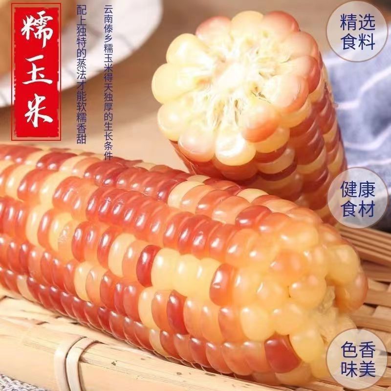 Xishuangbanna Small Flower Glutinous Corn Small Corn Yunnan Specialty Breakfast Meal Replacement Wholesale Fresh Corn Delicious Fragrant Glutinous