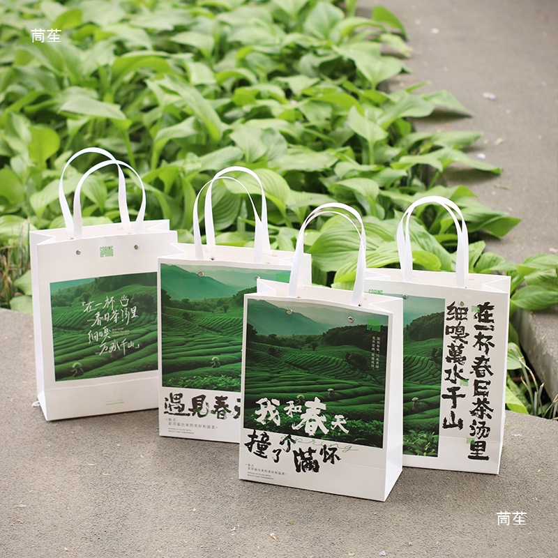 Mingqian Longjing Gift New Packaging Bag Handbag Biluochun Green Tea New Tea Huangshan Maofeng Spring Tea Anji White Tea