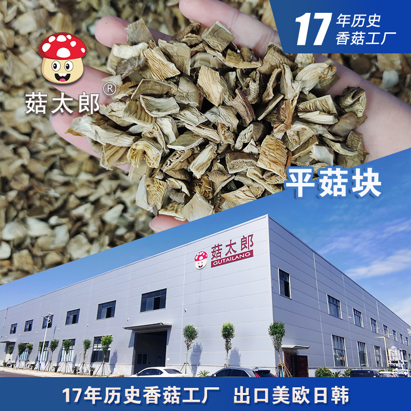 Оптовая продажа фрагментов грибов шиитаке, грибы абалон, грибы шиитаке/сюй чжэнь, порошок для начинки соуса, прямая поставка с фабрики