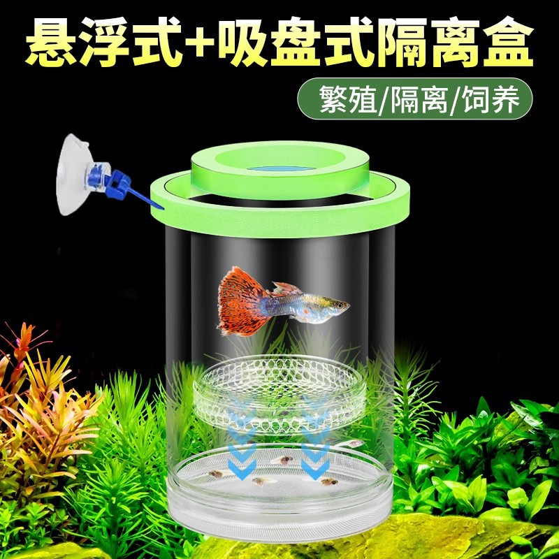 Suspension Incubation Box for Guppies, Zebra Fish, Bettas, Female Fish, Multifunctional Small Fish Fry Transparent Breeding Isolation Box