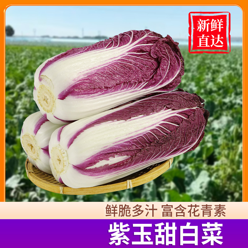 Дропшиппинг фиолетовой капусты, не ГМО, свежая фиолетовая капуста