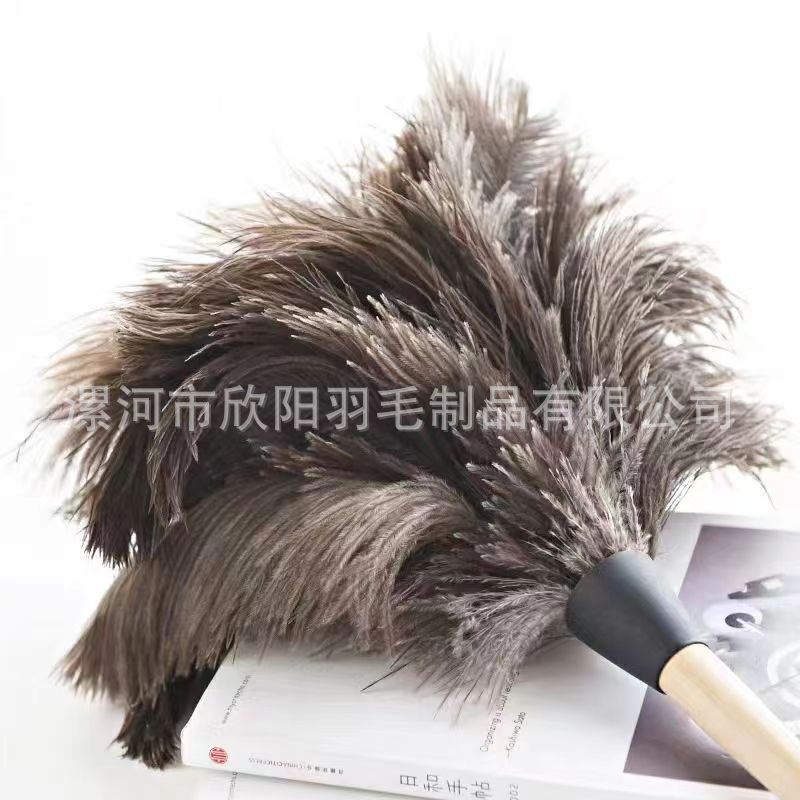 Feather Duster Household Cleaning No Hair Washable Dust Removal Fine Vehicle Dust Sweeping Ostrich Feather Duster