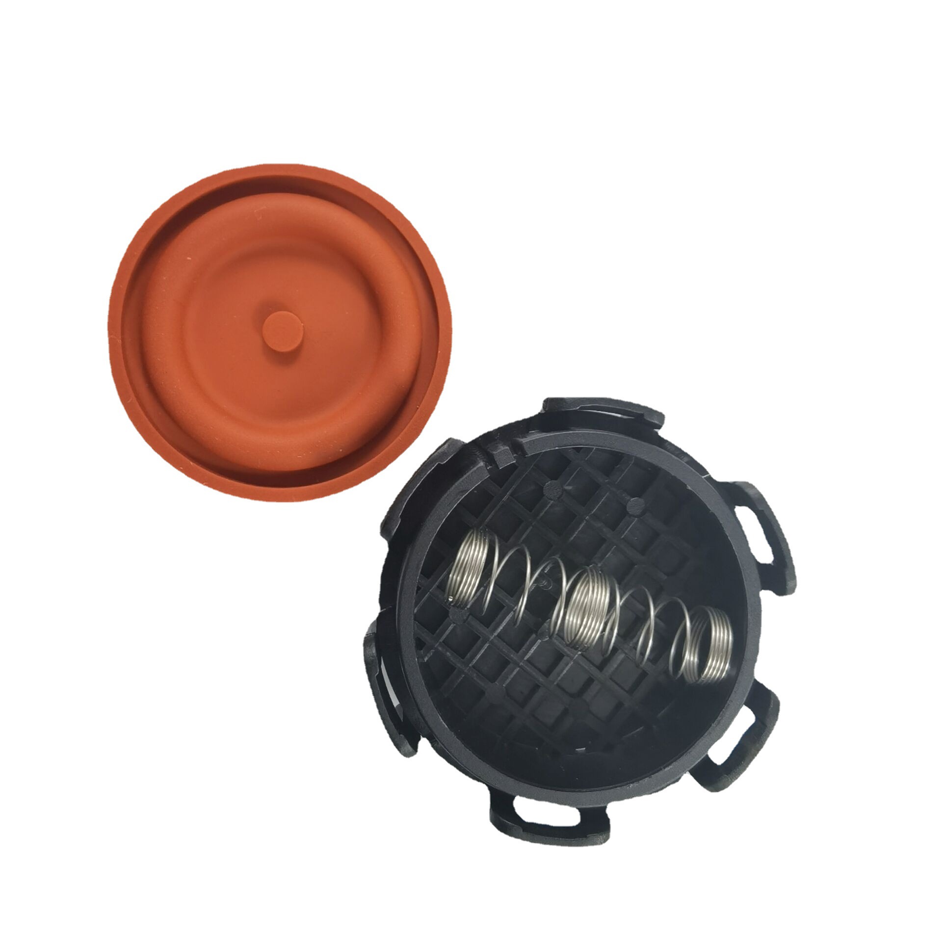 VaLve Cover Exhaust Gas VaLve 0248L1 0248.L1 1479837