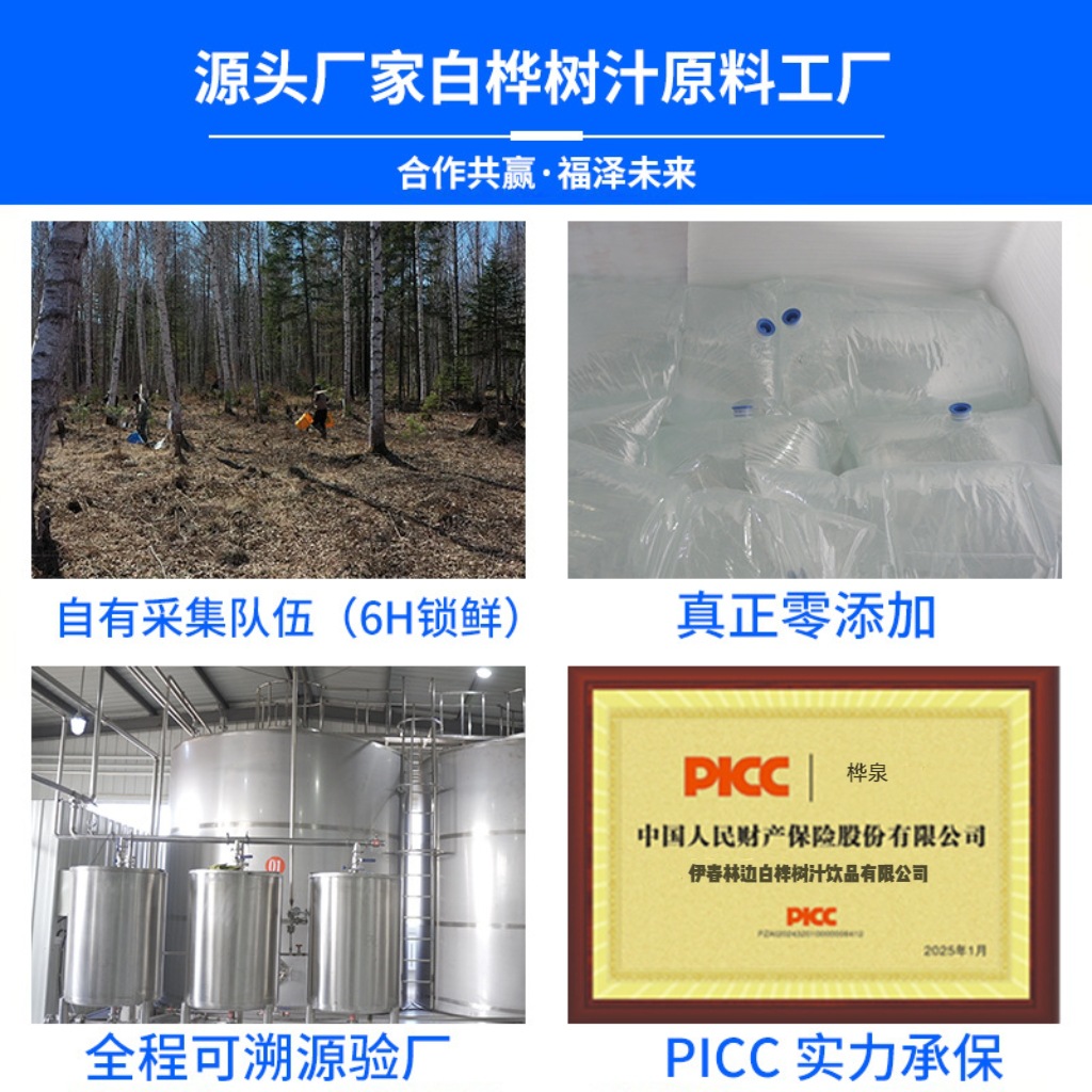 White Birch Sap, White Birch Original Juice, White Birch Liquid, White Birch Sap Factory, 100% White Birch Sap, White Birch