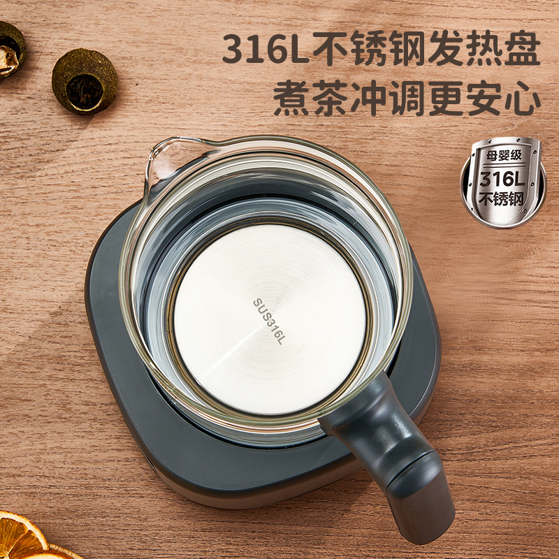 Chigo Health Pot Household Constant Temperature Milk Warming Milk Regulator Steam Spray Office Tea Boiler Water Kettle