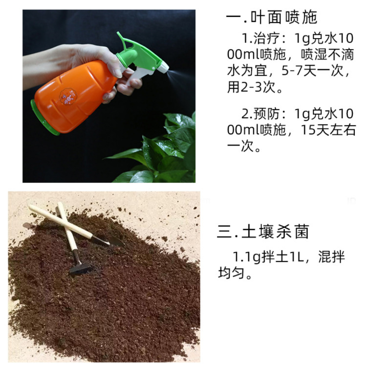 50g Guoguang Carbendazim Plant Leaf Spot Rose Black Spot Succulent Powdery Mildew Fungicide Sterilization Spirit Anthers