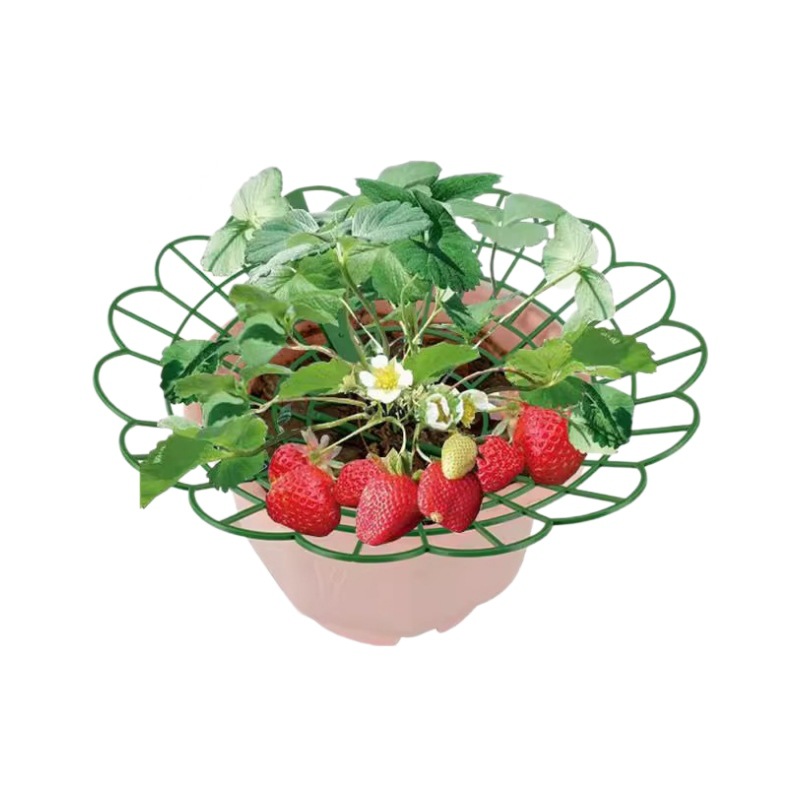 Vegetable Strawberry Rack Round Tray Bracket Anti-landing Potted Plants Green Plants Splicing Anti-rotten Leaves Rotten Durable Horticultural Support